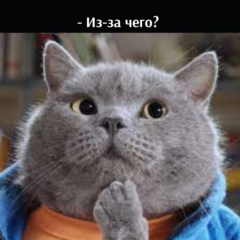       - 9  2021  22:24 - 2