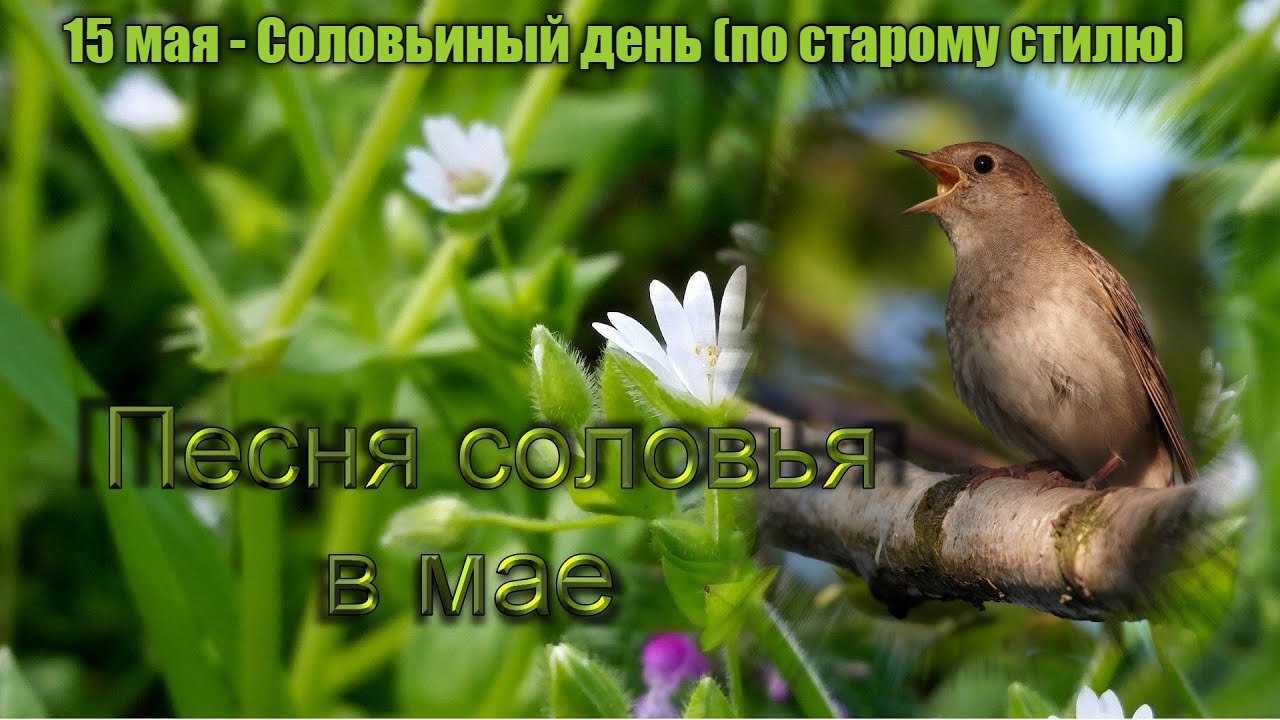   ,    . - 14  2021  23:44 - 10