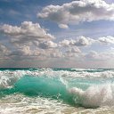  ••,  -  12  2021    ߻