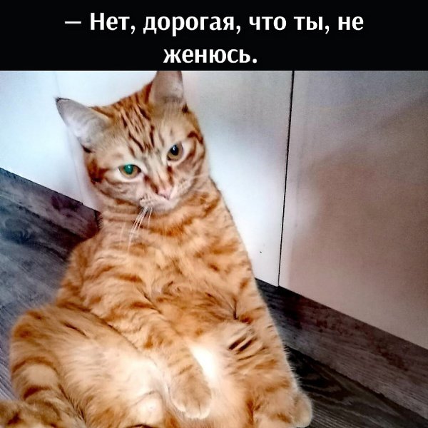       - 3  2021  16:33 - 2