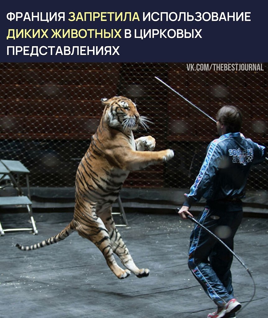 BEST | , ,  - 20  2021  14:53