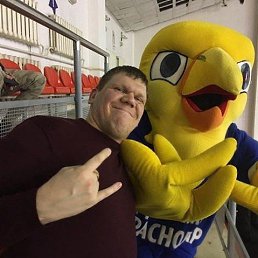 ��������, ���������, 42 ����