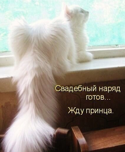    - 8  2021  22:40