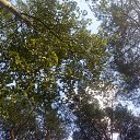 ���� Haver Santa, ���������� ����� - ��������� 28 ���� 2021 � ������ �:)�