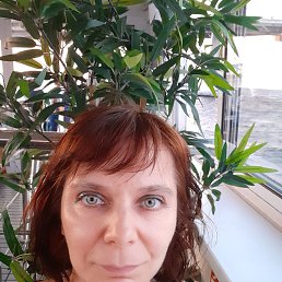 ���� �������, �����-���������, 55 ��� - ��������� 12 ���� 2021