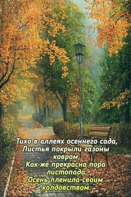   ,    . - 24  2021  08:50 - 8