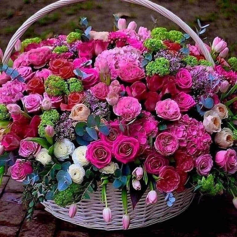 ����� ��� ������, ������ ����� ��������!!! �������� ������� ��������!!! - 2