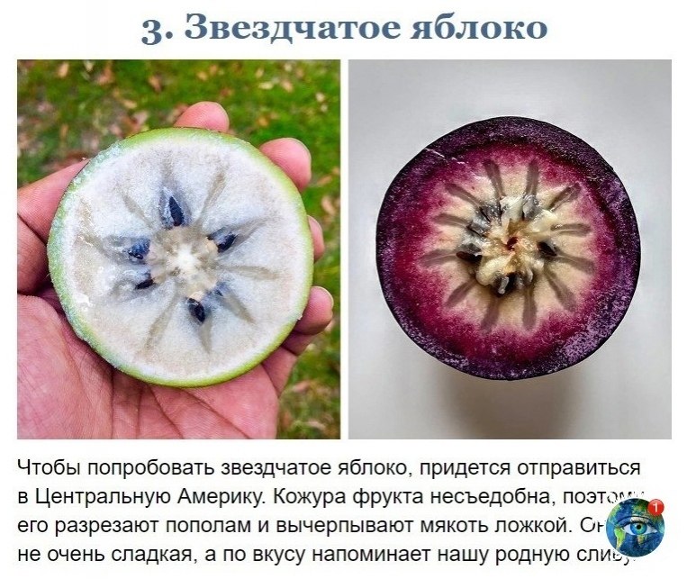 10 p oec pyo, oope  oo   p pa - 3