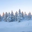  ,  -  9  2022    