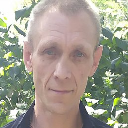 ������, ������-��-����, 51 ���