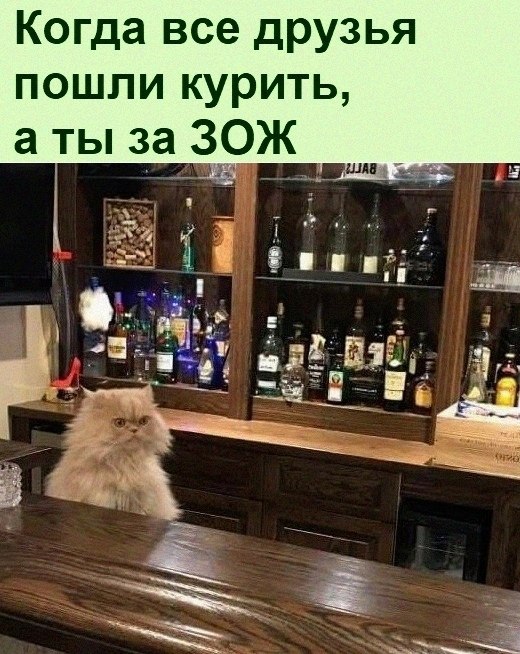   :D - 15  2021  08:45