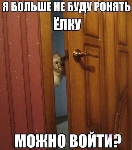   - 14  2021  07:39
