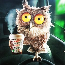 �����, �����, 34 ����