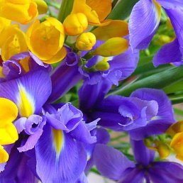 �����, ������, 30 ���