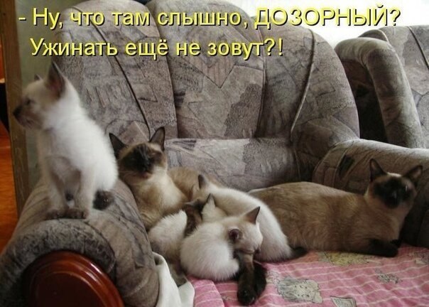    - 10  2021  22:31