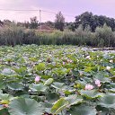 ���� Lisa, ��������, 52 ���� - ��������� 28 ���� 2021 � ������ ���� ����������