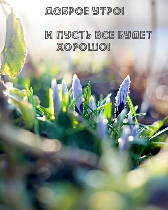***Victoria Viktorovna*** - 14  2021  04:56 - 2