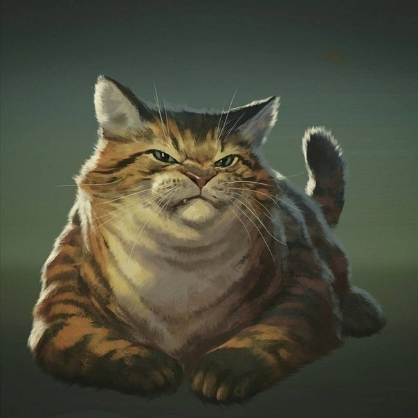   :    ,    ,     ?!  ...