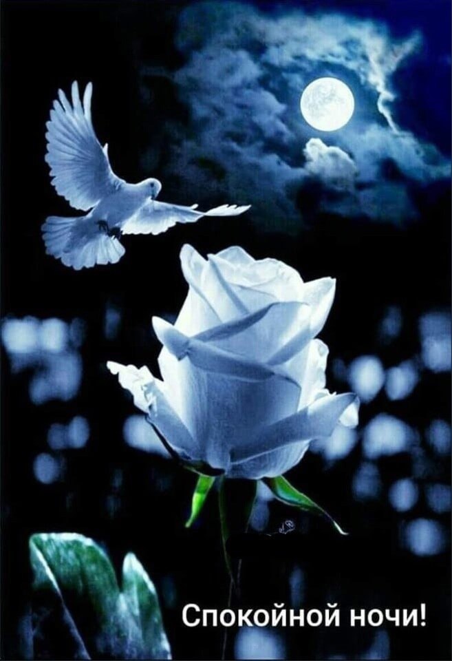   ,    . - 18  2021  22:32 - 5