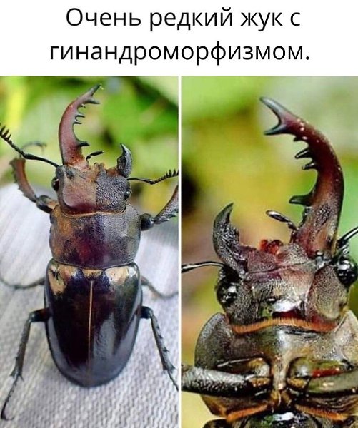 e     ,    .