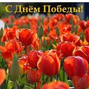 ���� Bojenochca, ���� - ��������� 9 ��� 2021 � ������ ������ ��������