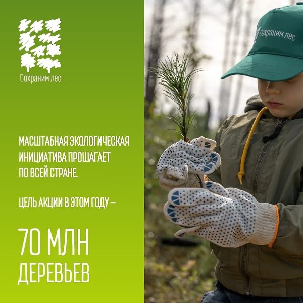 Якутская тайга – достояние всей России. Сегодня участники акции #СохранимЛес внесли свой вклад в ... - 2