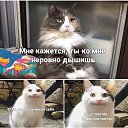 ���� Julia, �������� - ��������� 13 ������ 2021 � ������ ������ ��������