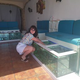 ���� ����, �����, 85 ��� - ��������� 13 ������ 2021