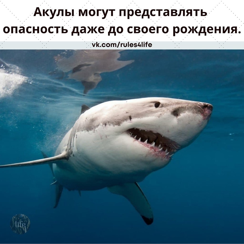 ,         ,     ...