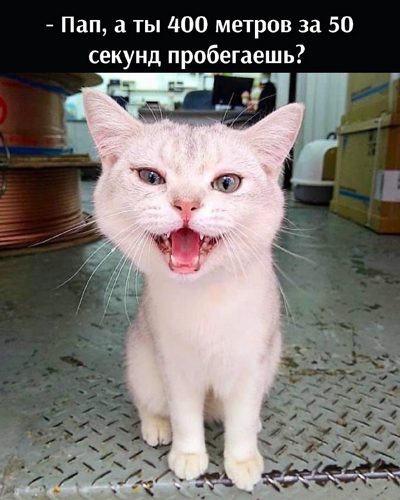       - 29  2021  21:51