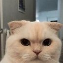 ���� Dead, ������, 29 ��� - ��������� 15 ���� 2021 � ������ ���� ����������