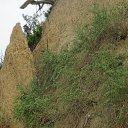  , , 57  -  2  2021   -- 2021