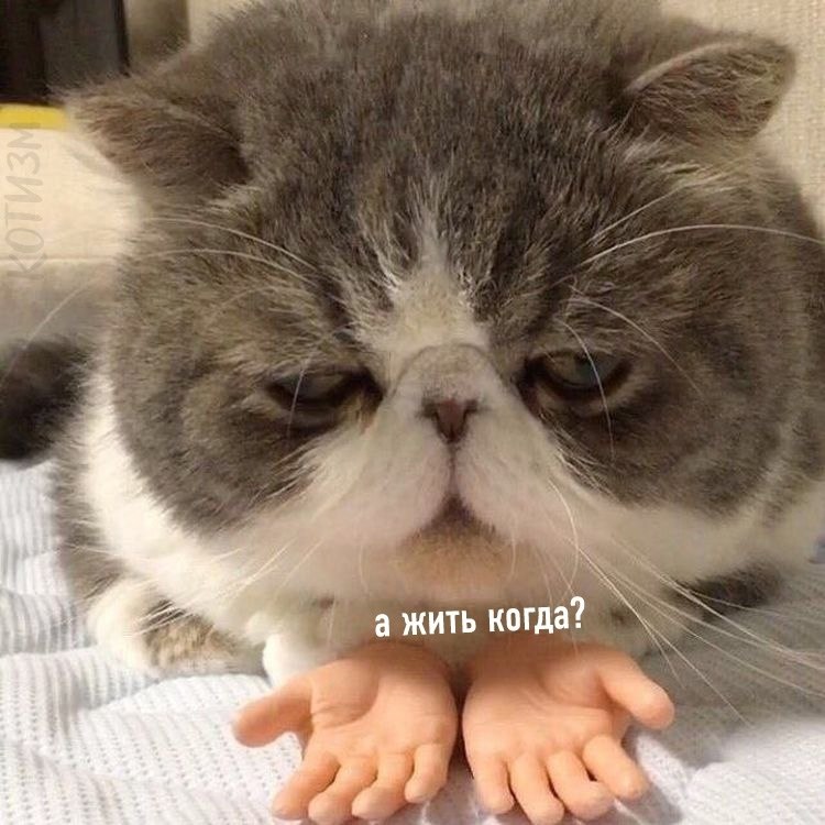    : - 5