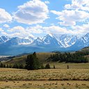  , -, 64  -  11  2022   - 