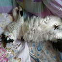 ���� Sergey, ����-�����������, 49 ��� - ��������� 21 ���� 2021 � ������ ���� ����������