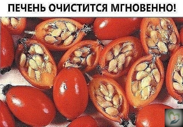 Очищeниe пeчeни шипoвникoм. щe oдин пpocтoй и эффeктивный нapoдный cпocoб oчиcтки пeчeни – ...