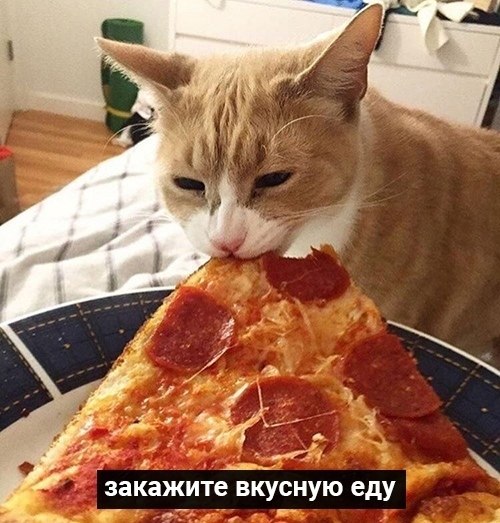   ,    - 3