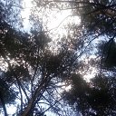 ���� Haver Santa, ���������� ����� - ��������� 28 ���� 2021 � ������ �:)�