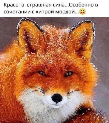   - 19  2021  11:16