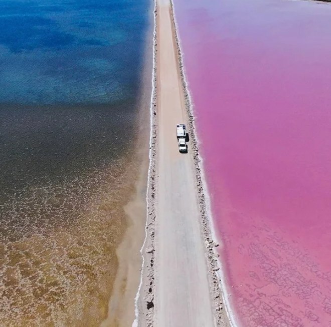 Cactus Beach, Watermelon Avenue,  - 2