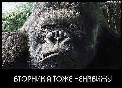 ***Victoria Viktorovna*** - 27  2021  08:40