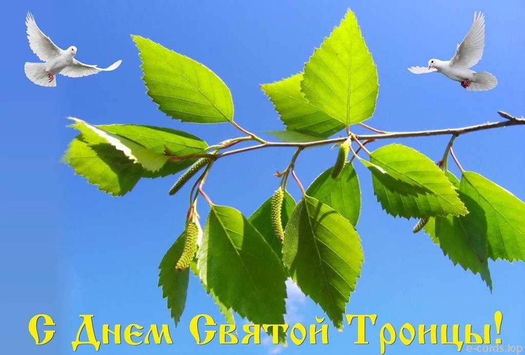   ,    . - 20  2021  08:58