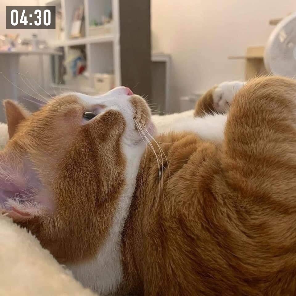   - 3