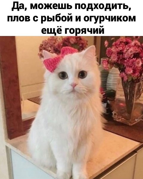 #@bon - 2