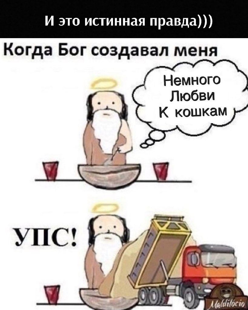       - 17  2021  11:38