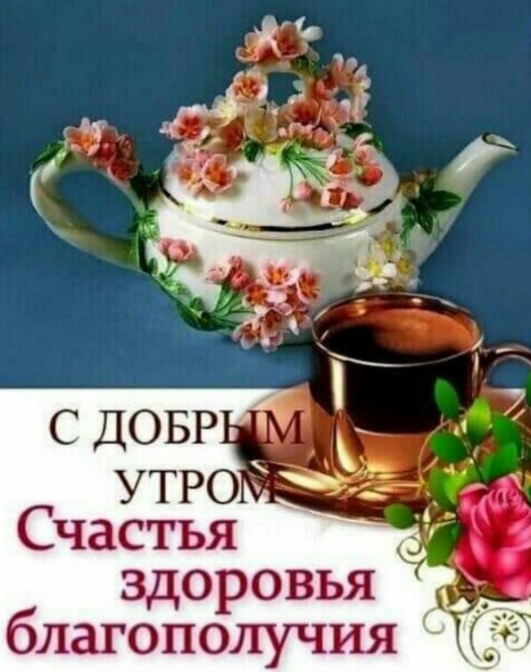   ,    . - 6  2021  21:53