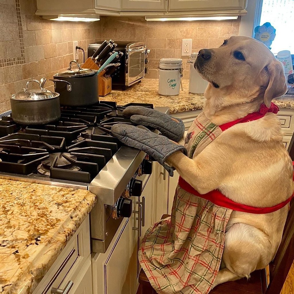 ������� ������� ������� ��� �����.#����@bon