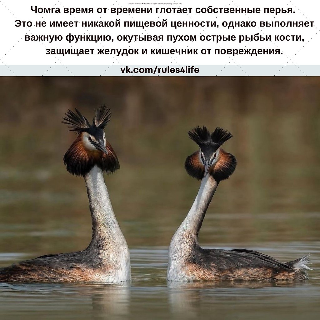 LIFE -  - 25  2021  11:07