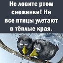  ,  -  15  2021    