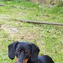 ���� Liliya, ���� - ��������� 2 �������� 2021 � ������ ������ ��������